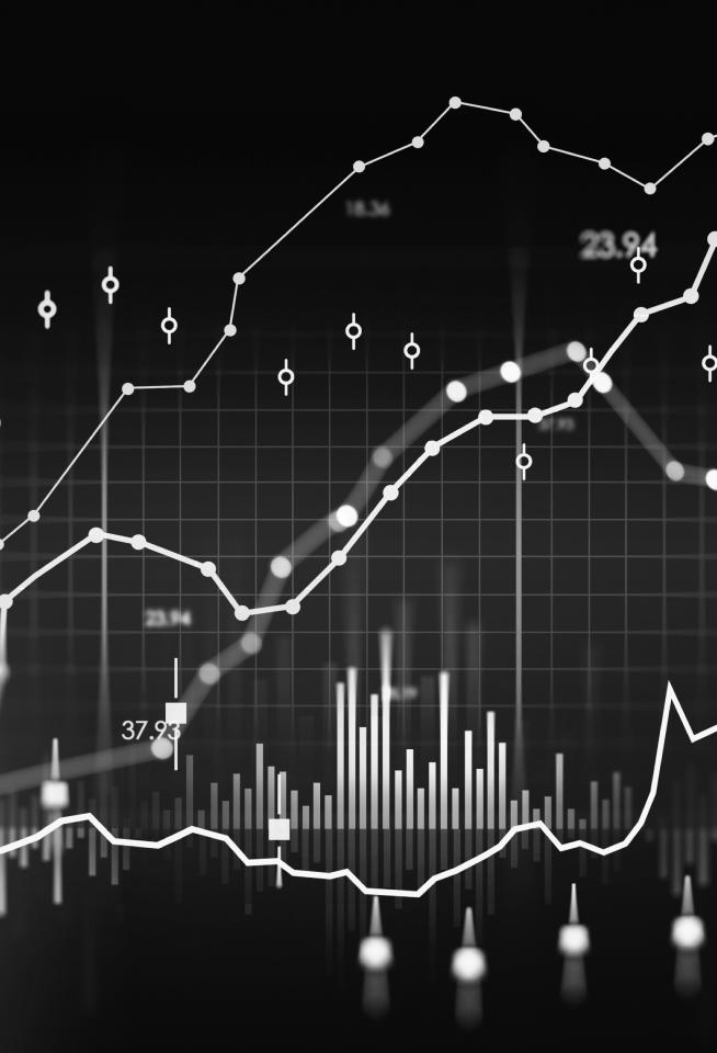 Line charts and bar graphs.